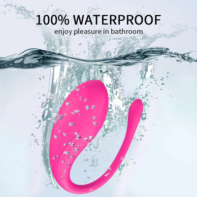 Vaginal Vibrator: 9-Speed App-Wearable Vibrator for Couples